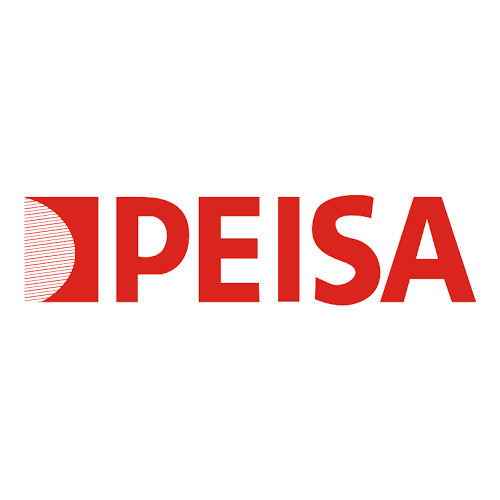 Service Oficial Calderas Peisa